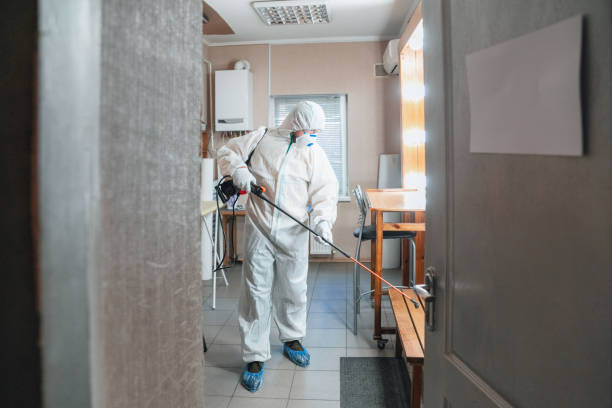 Best Crawl Space Mold Remediation  in Wilton Center, CT