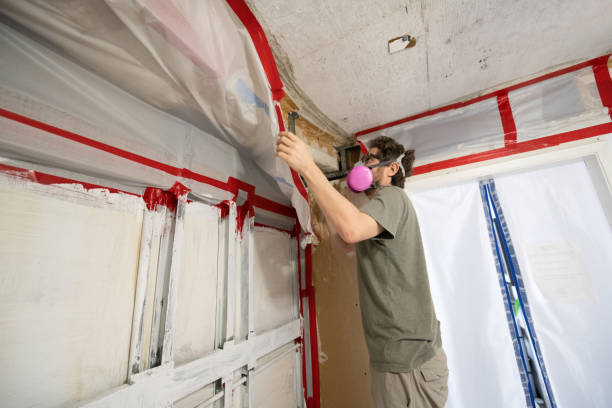 Best Mold Odor Removal Services  in Wilton Center, CT