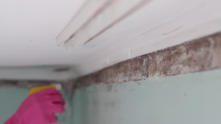 Best Post-Remediation Verification Testing  in Wilton Center, CT
