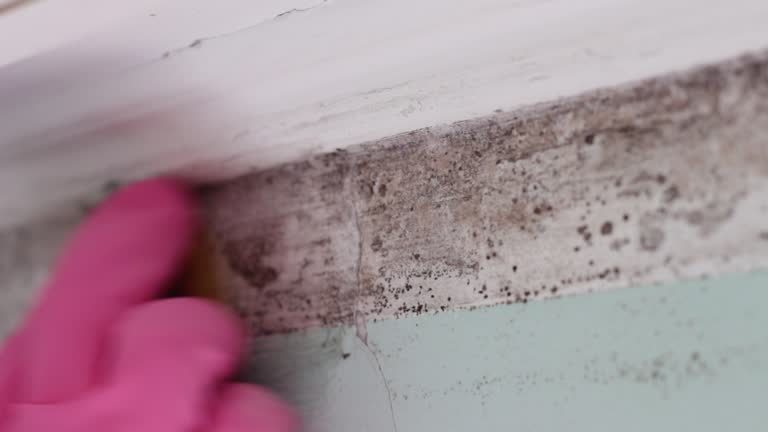 Best Residential Mold Inspection & Testing  in Wilton Center, CT